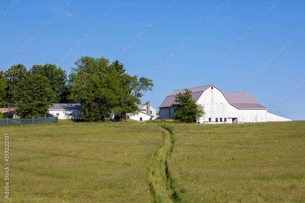 Path through a field leading to an Amish farm surrounded by trees on a clear summer day | Holmes County, Ohio