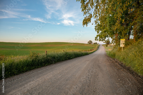 Country gravel road beside trees and a field in Ohio's Amish country
