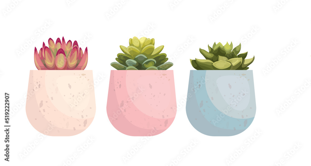 Hand drawn colorful succulent set Hand drawn colorful succulent set