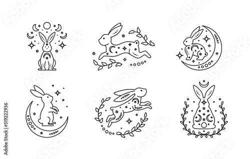 Set of celestial animal rabbits. Magic bunnies. Black outline magical bunny rabbits, mystic crescent moon esoteric symbol, constellation elements. Vector rabbits for decoration. Celestial clipart. Yea