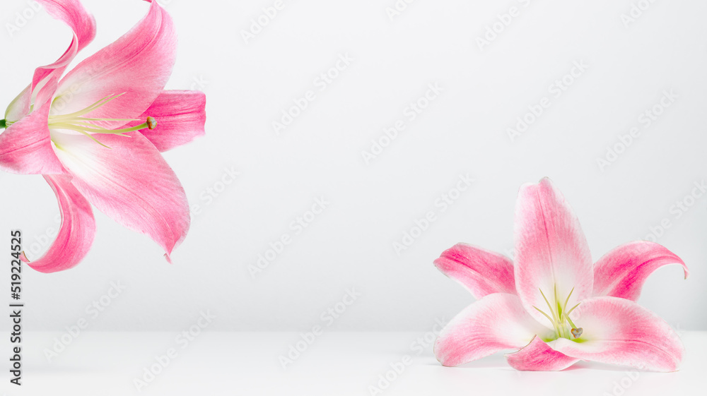 Obraz premium Spa background with lily flowers. Copy space for beauty, spa, perfume and product presentation. Minimal flower background
