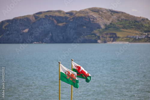 Just a couple of Welsh flags