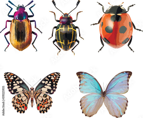 Set of graphical hand-drawn bugs, butterfly 