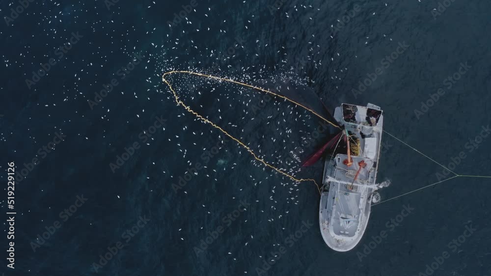 A fishing boat seen in birds eye while pulling back the giant net in Black Sea, Turkey.