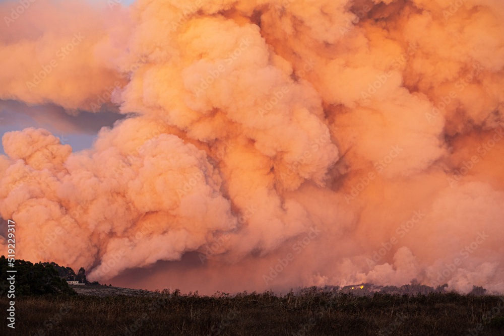 Pyrocumulus cloud from a wildfire, in the Santa Cruz Mountains ...
