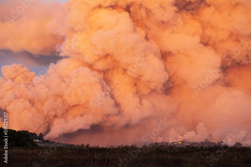 Pyrocumulus cloud from a wildfire, in the Santa Cruz Mountains, California, USA photo