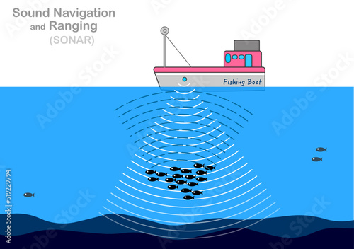 Sound navigation ranging. Sonar.
Fishing and fish detection, scan. Cruise ship, boat and underwater search. Reflected sound waves. Echo. Sea acoustic location, echolocation. Illustration vector