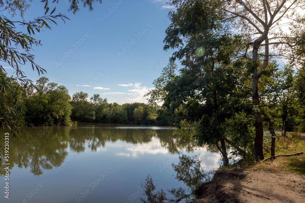 Scenic view of the forest river. Summer,