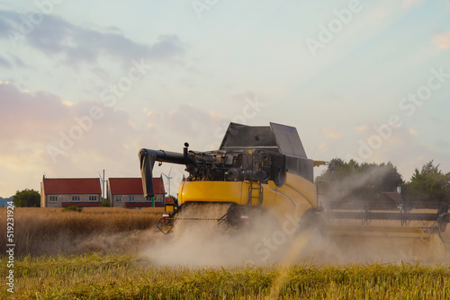 Farmer driving a harvester working in a wheat field at sunset