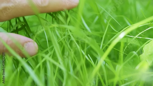 Close-up of a young caucasian male hand slowly sliding his hand over short grass