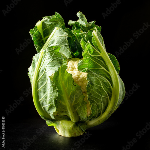 fresh cauliflower wrapped in its leaves on black background photo