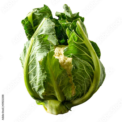 fresh cauliflower wrapped in its leaves on white background photo