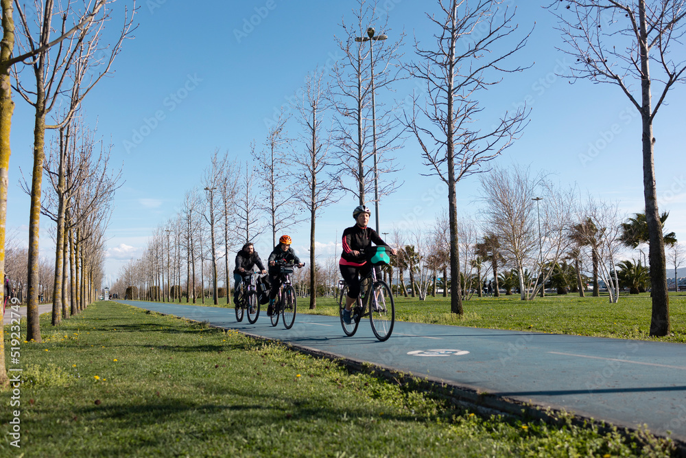 Three cyclists on the tree-lined bike path. Sport, healthy life and outdoor activities concept. No people face in photo.