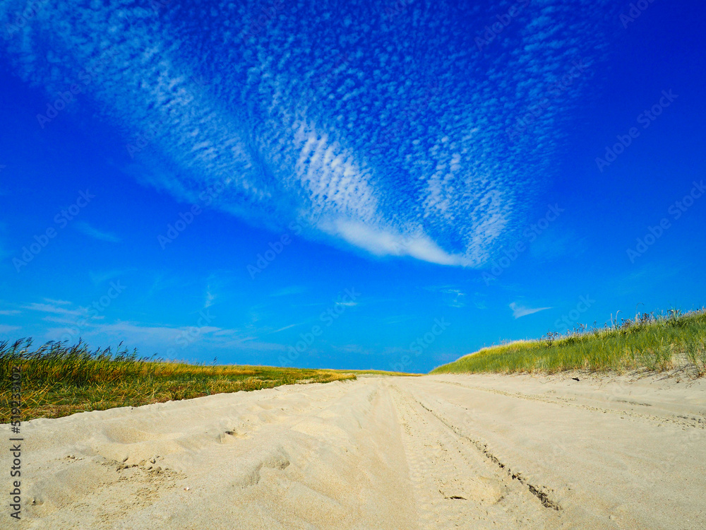 road on a sand dune between wild grasses under a sky with clouds road on a sand dune between wild grasses under a sky with clouds