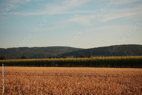Germany countryside fields 