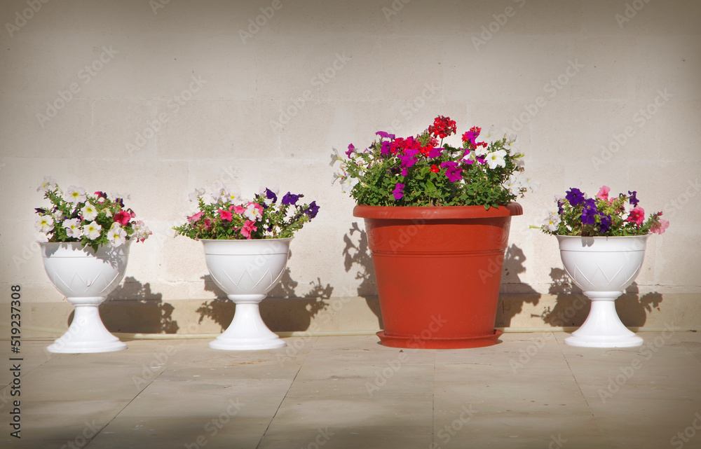Vases with flowers standing near the wall.