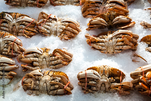 Fresh dungeness crab at a local seafood market at the Seattle Pike's Market photo
