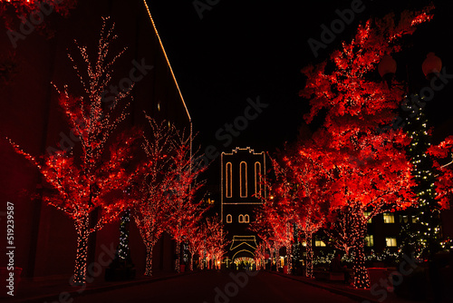 Red trees with Christmas Lights