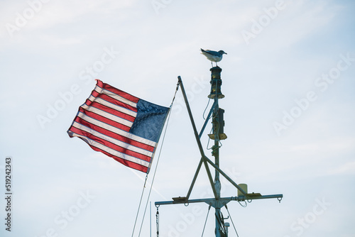 Seagull and American Flag on Boat Mast