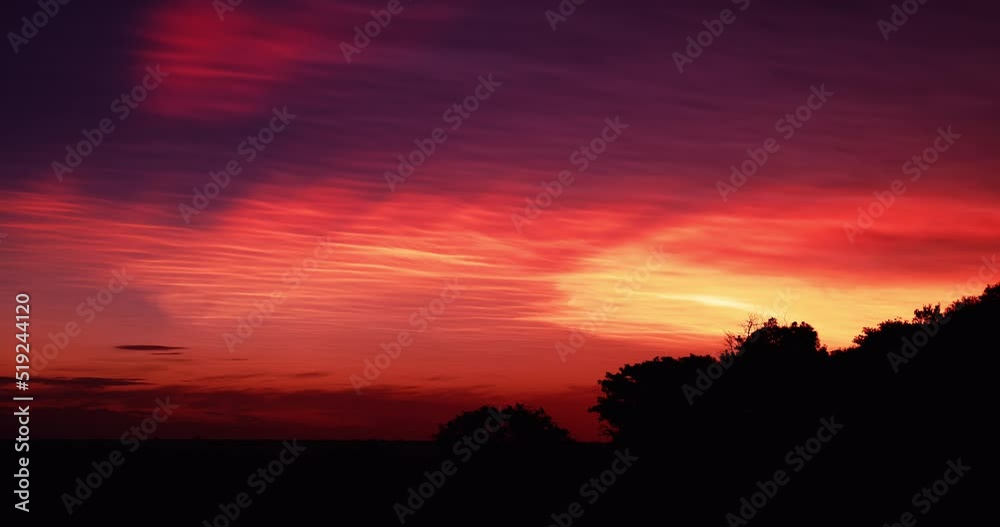 Orange pink and purple sunset in African Bush, Acacia tree silhouettes Orange pink and purple sunset in African Bush, Acacia tree silhouettes