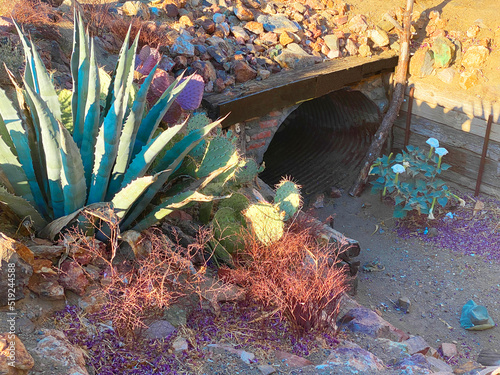 garden culvert drainage ditch water tunnel desert landscaping gardening succulents cactus dry arid photo
