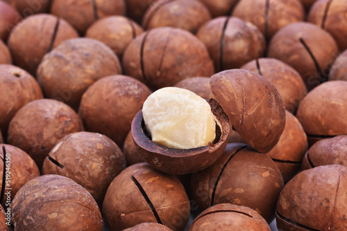 A pile of roasted macadamia nut