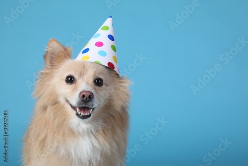 Foto Cute dog with party hat on light blue background, space for text