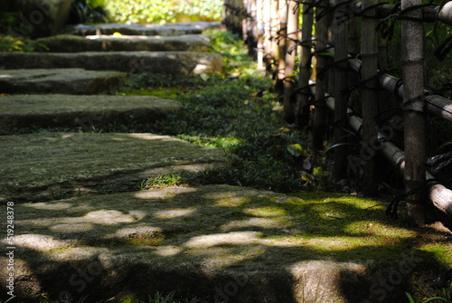 木漏れ日の小路