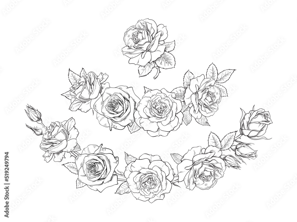 Hand drawn flower garlands with roses, rose buds, leaves and stems. Floral arrangement in engraving style.