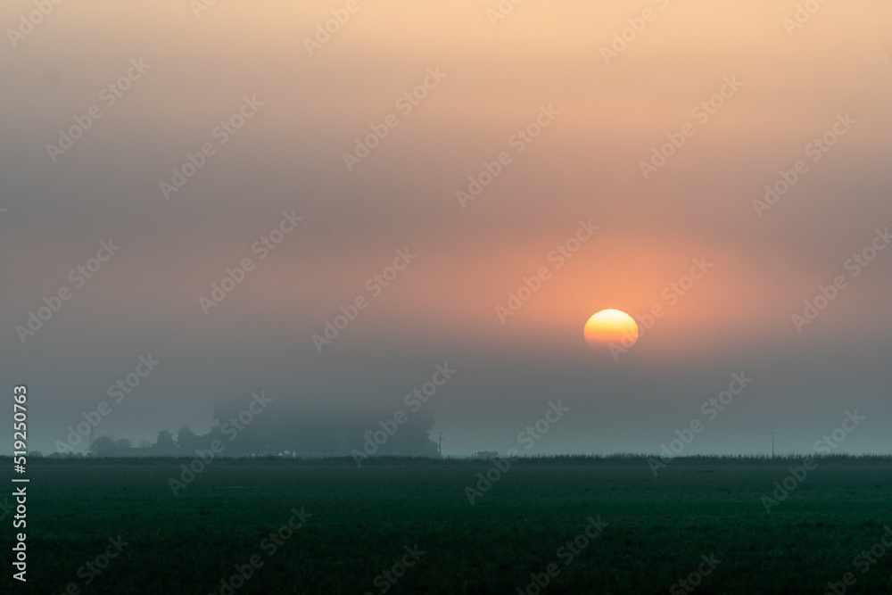 Fototapeta premium Dawn with thick fog