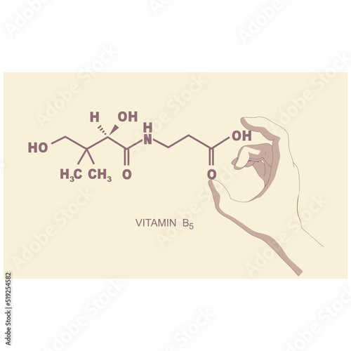 Hand holding chemical molecular formula of vitamin B5 pantothenic acid.