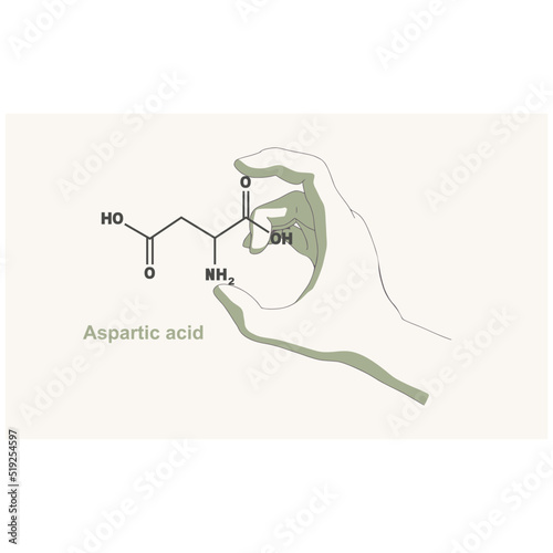 Hand holding chemical molecular formula of aspartic acid photo