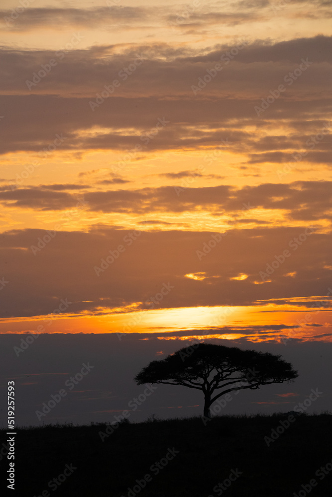 Sunset over the plains of Tanzania