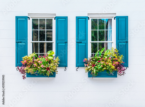 windows with flowers