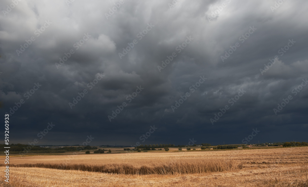 Landscape view of dark clouds in harvest nature. Grey cloudy sky over dry grassy cold field with autumn colors in the outdoor life. Stormy, overcast weather over a wilderness environment. Landscape view of dark clouds in harvest nature. Grey cloudy sky over dry grassy cold field with autumn colors in the outdoor life. Stormy, overcast weather over a wilderness environment.