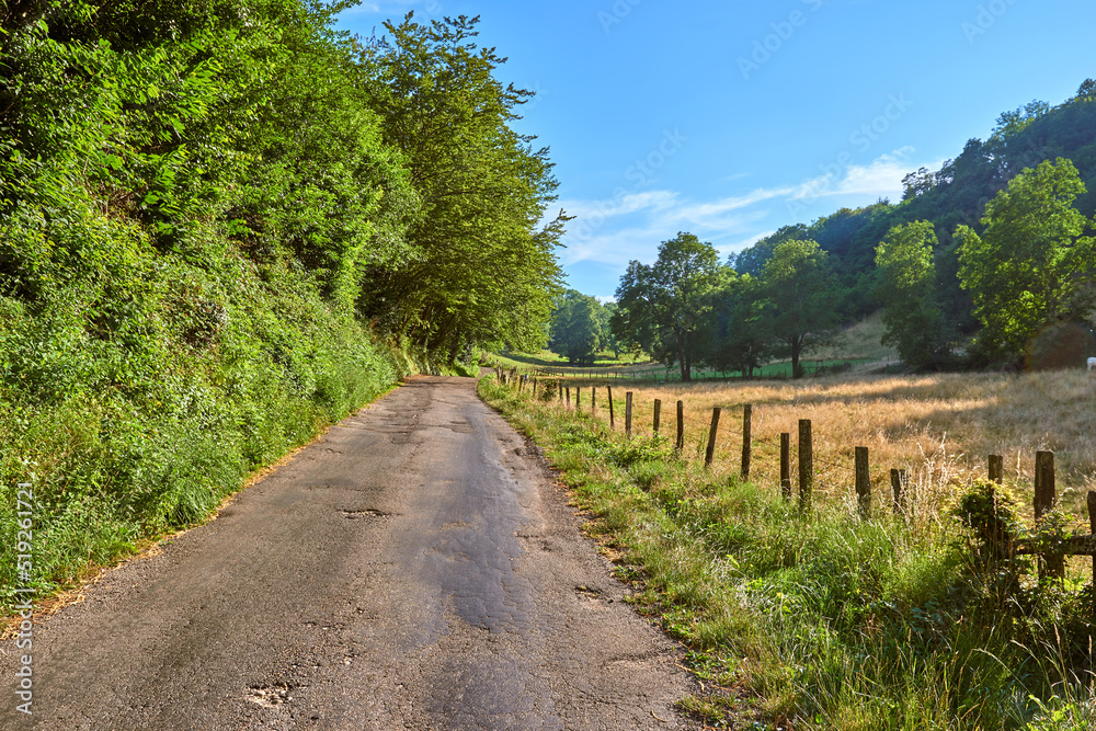 Nature landscape view of green countryside with a blue sky background. Isolated road in a natural setting with growing grass, plants, and large trees. A forest and farm field scene on a summer day.