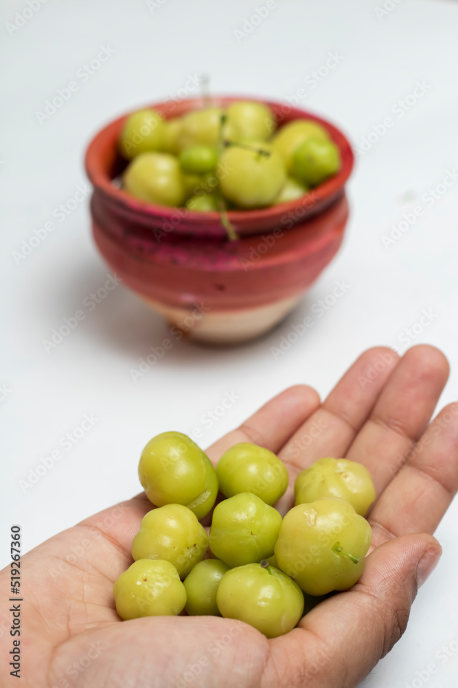 Orboroi High Resolution Stock Photography and Images, Phyllanthus acidus Orboroi High Resolution Stock Photography and Images, Phyllanthus acidus