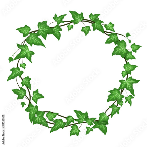 Ivy round wreath isolated on white background  climbing vine with green leaves. Vector cartoon frame