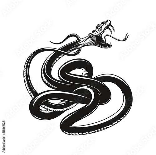 Snake tattoo, angry viper, vector aggressive serpent or python. Angry snake with fangs and tongue attack for bite, black viper serpent for bikers or rockers club tattoo, mascot