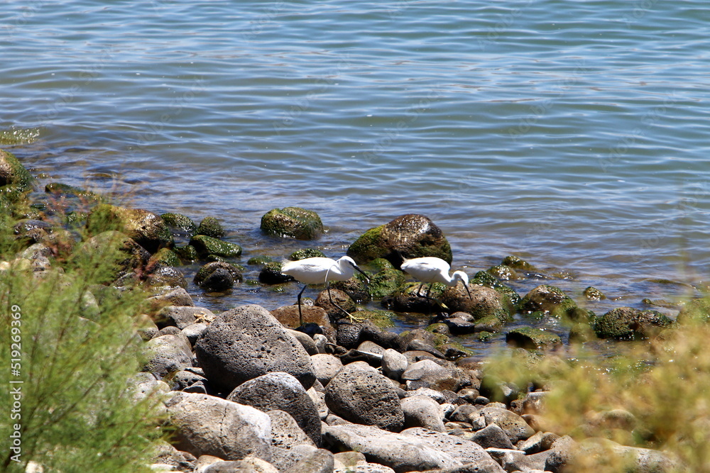 Lake Kinneret is a freshwater lake in northeastern Israel. Lake Kinneret is a freshwater lake in northeastern Israel.
