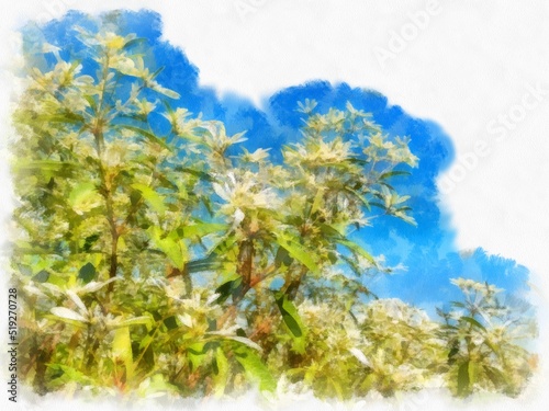 bushes and inflorescences watercolor style illustration impressionist painting.