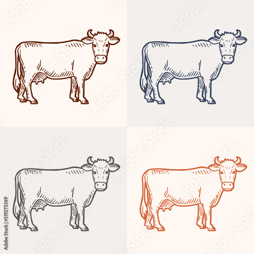 Set of cows. Farm animal. Hand drawn sketch. Vintage style. Color vector illustration.