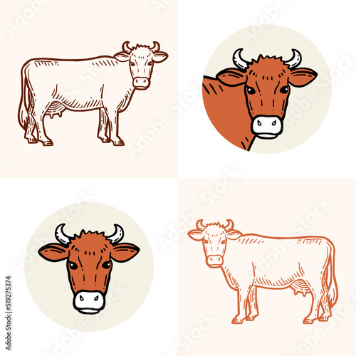 Set of cows. Farm animal. Hand drawn sketch. Vintage style. Color vector illustration.