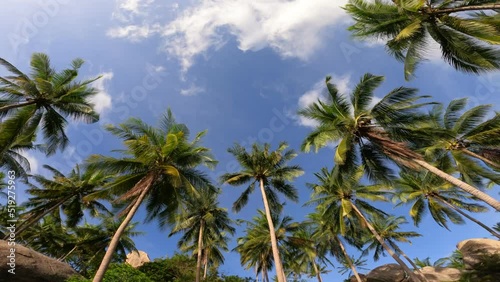 Wallpaper Mural On tropical islands, coconut palms and summer beaches on Koh Tao. Torontodigital.ca