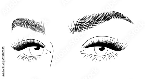 Realistic lashes on white background. Female woman with open eyes and brows icon. Lamination and extension eyelashes. Beauty studio logo. Linear vector Illustration in trendy minimalist style.