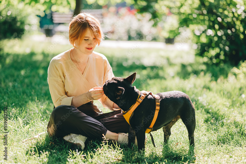 Black french Bulldog Puppy cuddling up with owner girl laying on lawn in park outdoors summer spring day kissing hugging petting. Happy woman with dog outside