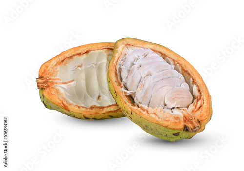  cocoa isolated on white background