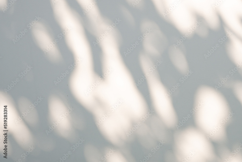 Abstract natural tree leaves shadow on white wall background - obrazy, fototapety, plakaty 