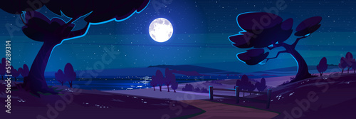 Night nature landscape with forest trees, road, lake and field under full moon shining in starry sky. Cartoon rural background, mysterious scenery view with countryside twilight, Vector illustration