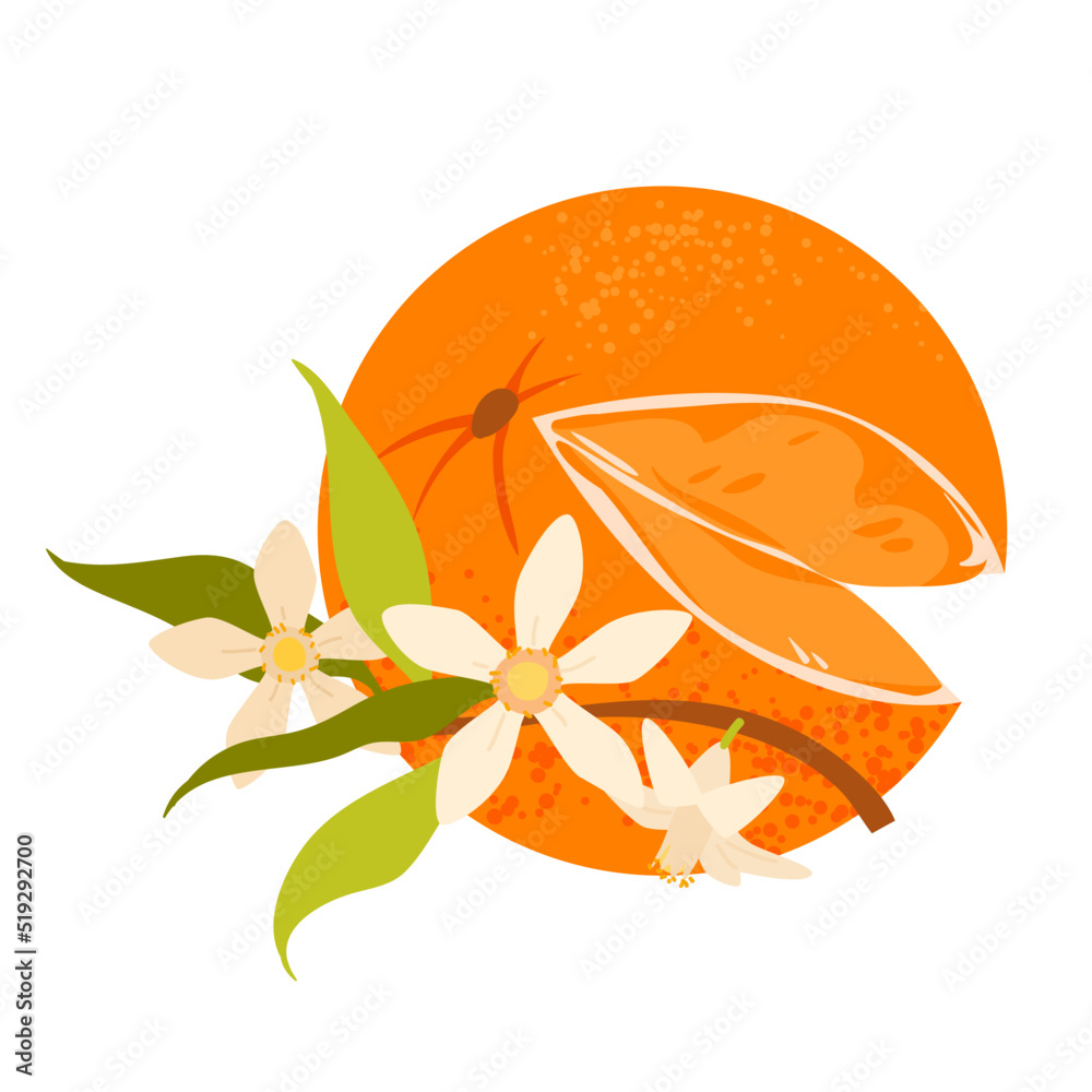 Orange Blossom Stock Illustrations – 92,952 Orange Blossom Stock  Illustrations, Vectors & Clipart - Dreamstime